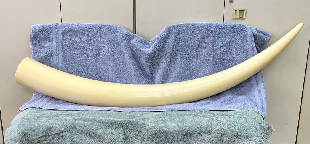 象牙風　オブジェ