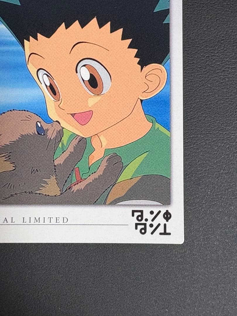HUNTER×HUNTER カードダスマスターズ No.10ゴン他計2枚セット - メルカリ