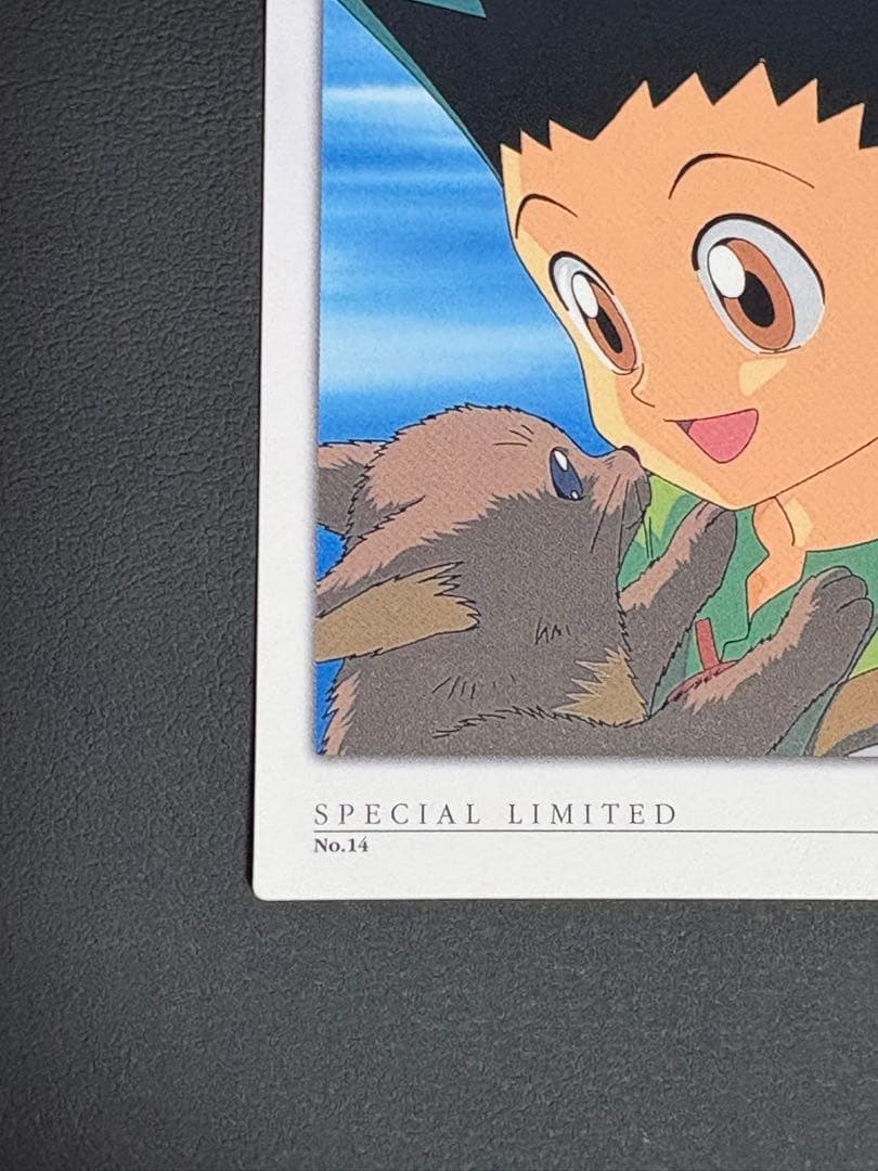 HUNTER×HUNTER カードダスマスターズ No.10ゴン他計2枚セット - メルカリ