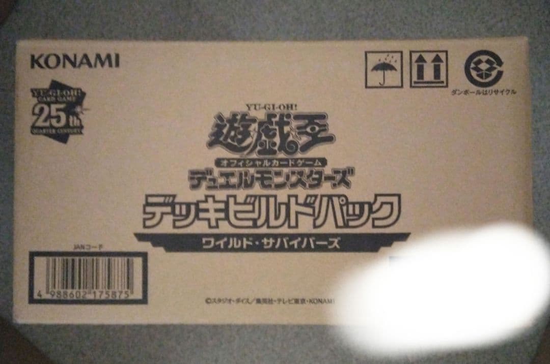 新品　未開封　未使用　カートン　ワイルドサバイバー　遊戯王　24BOX PREMIUM PACK 2024【-】{-}《未開封BOX》