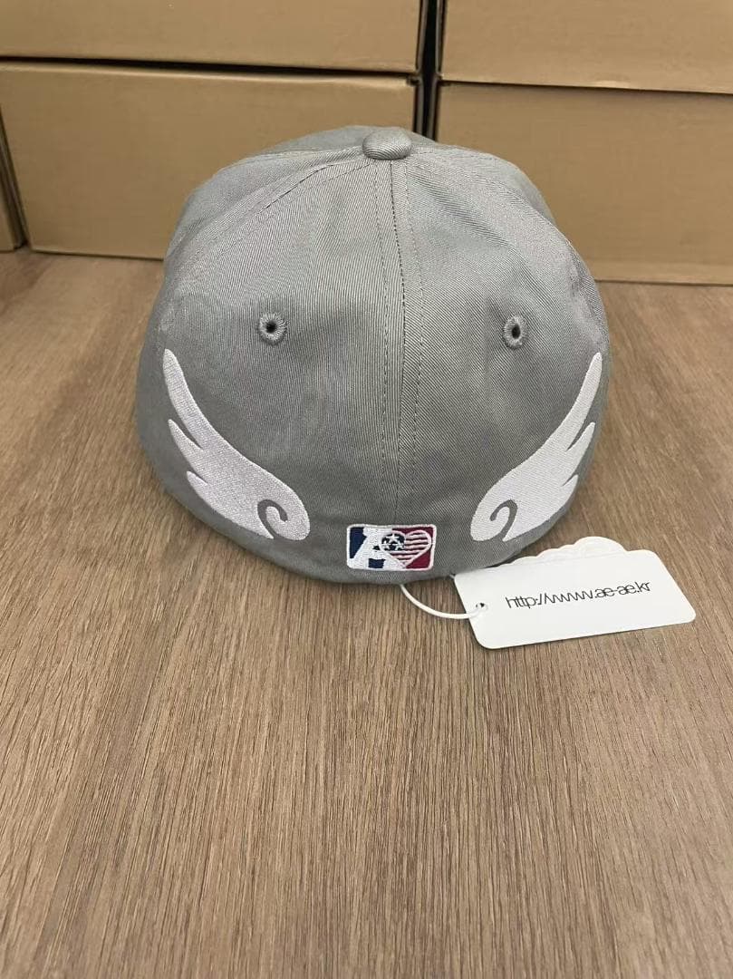 帽子 AE SYMBOL ANGEL WING CAP aeae