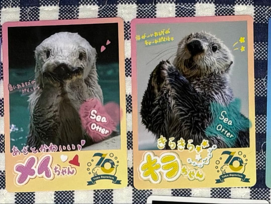 ぱ*ろ様 鳥羽水族館コレクションカード ラッコ キラ メイ ノーマル