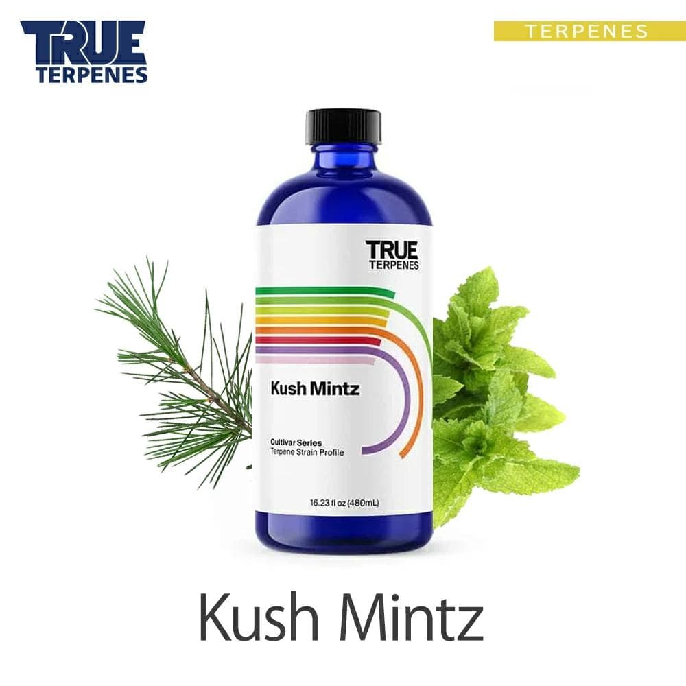 TRUE テルペン 510 CBD CBN CBG 10ml クッシュミント