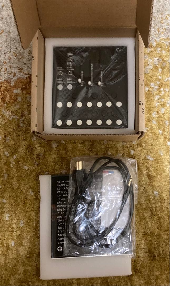 Meng Qi Wingie2 ステレオレゾネーター　モジュラーシンセ