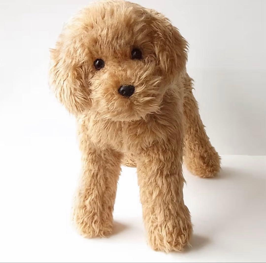 トイプードル風ぬいぐるみ ベージュ Amazon.co.jp: ニニアンドキノ ぬいぐるみ 犬 リアル トイプードル