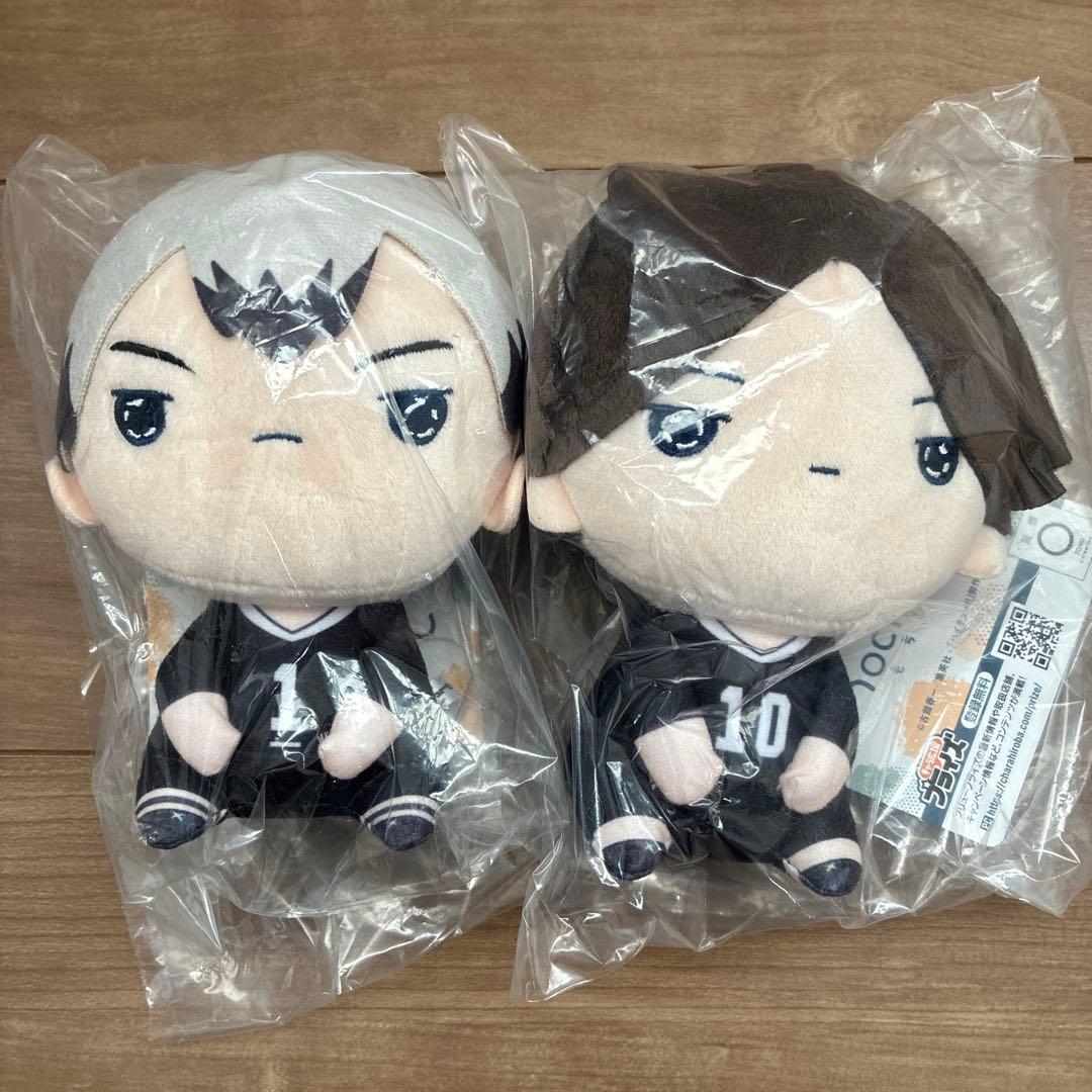 ハイキュー!! もちぴこぬいぐるみ第10弾 角名倫太郎 北信介 2種セット