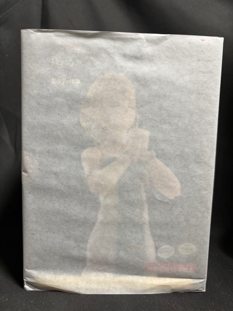 figma ゼルダの伝説 ディアーズオブザキングダム ゼルダ