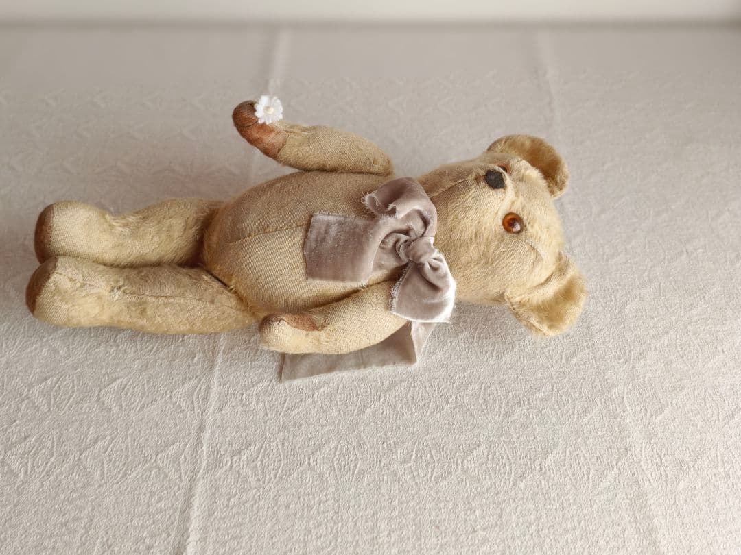 * antique bear ୨୧ .·*° オレンジの瞳が可愛い クマさん