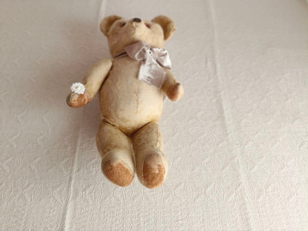 * antique bear ୨୧ .·*° オレンジの瞳が可愛い クマさん