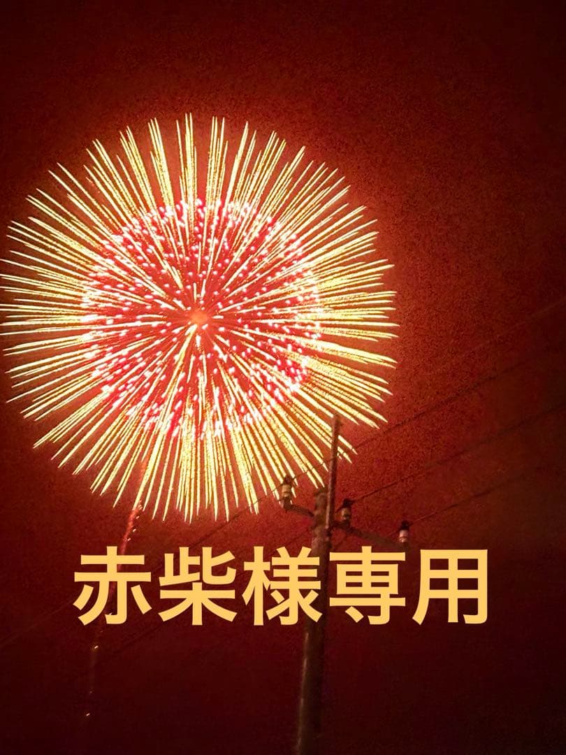 赤柴 赤柴（赤の柴犬）の子犬を探す（4ページ目）｜ブリーダーナビ