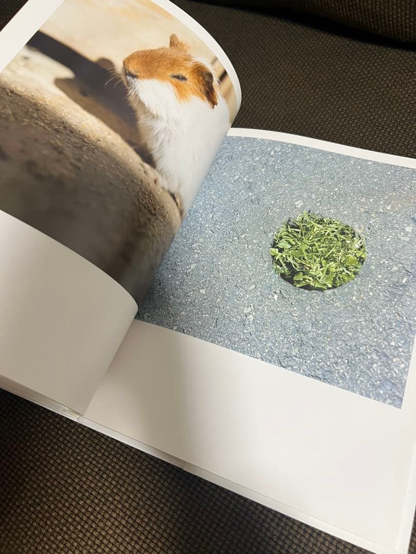 川内倫子 AILA アイーラ 写真集 美品 第二刷 - メルカリ