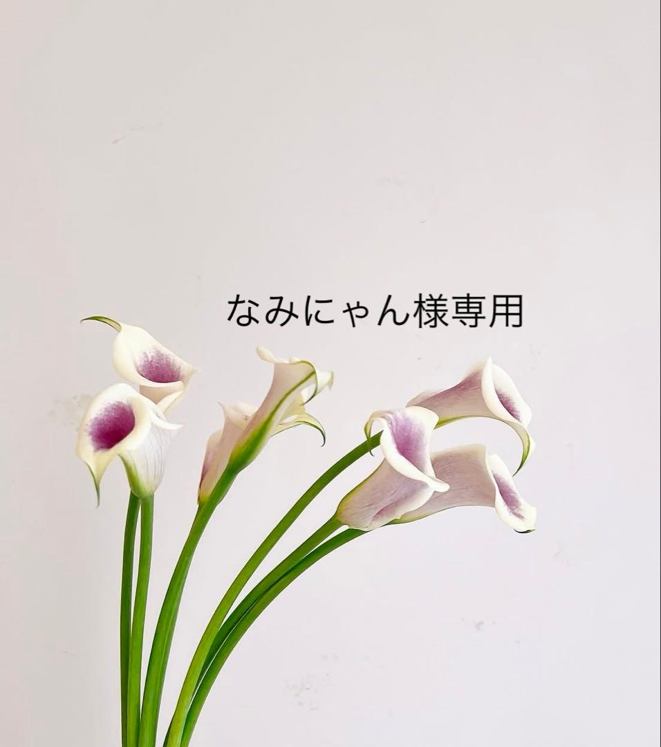 なみにゃん 様　VBソリューション　ラッシュアディクト　カットソー