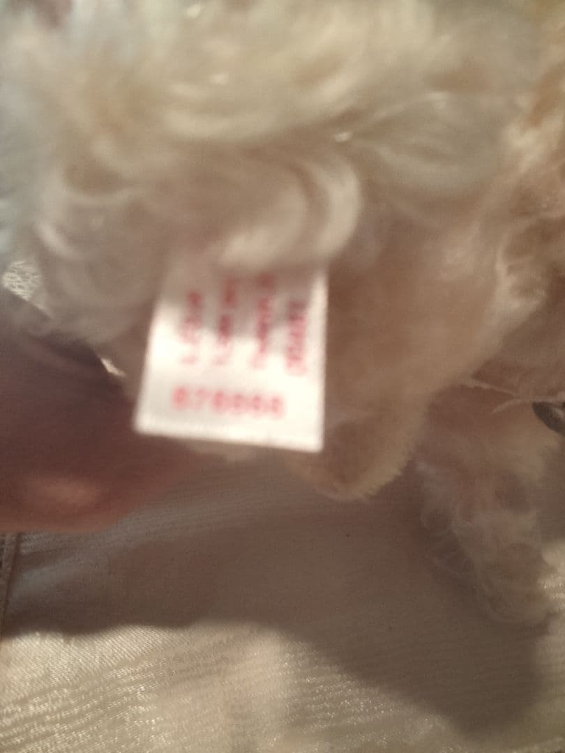 シュタイフ125年記念して2005年作られた紀宮様ご成婚記念プリンセス