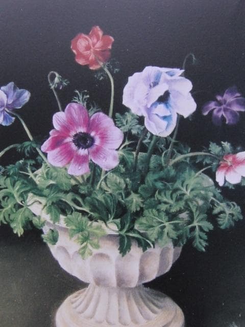 塩崎敬子、【アネモネ】、希少な大判額装用画集より、美品、日本人画家