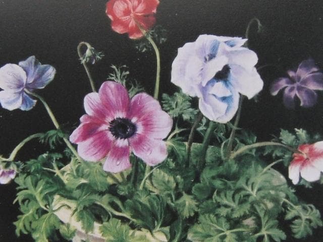 塩崎敬子、【アネモネ】、希少な大判額装用画集より、美品、日本人画家