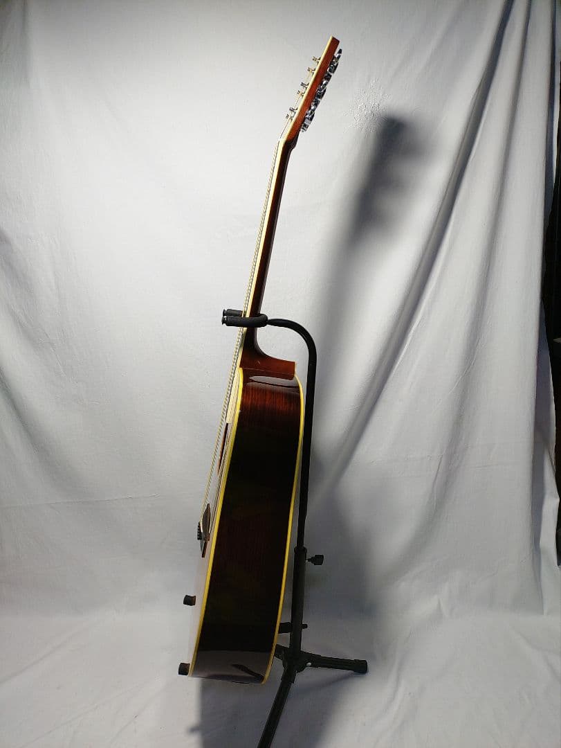 オンライン アウトレットホビー・楽器・アート - MORRIS SPECIAL TF