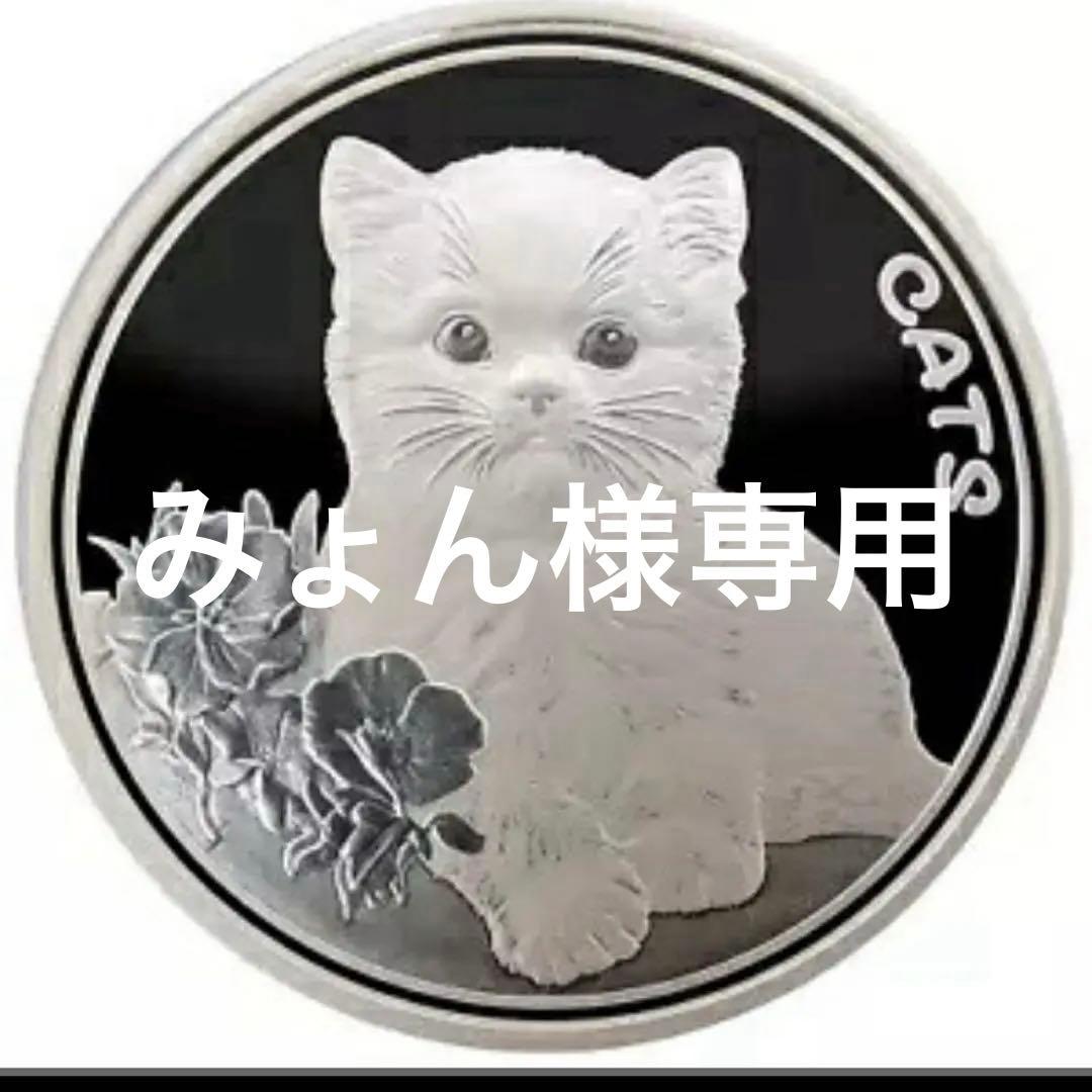 ラスト1点　2022年　フィージー　キャット銀貨　1オンス カプセル付き