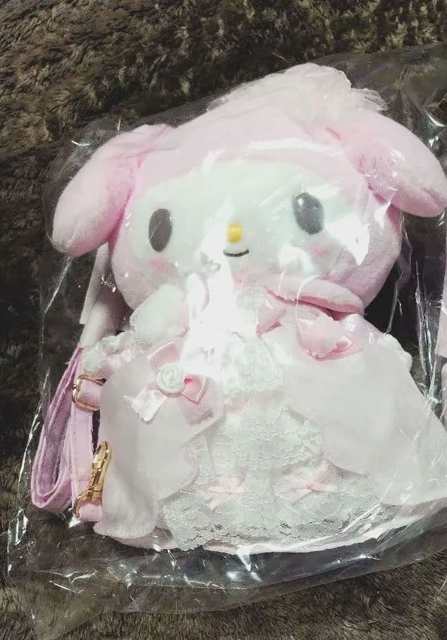 レディマイメロディ　マイメロ　 ショルダーバック　ペンケース　2点セット