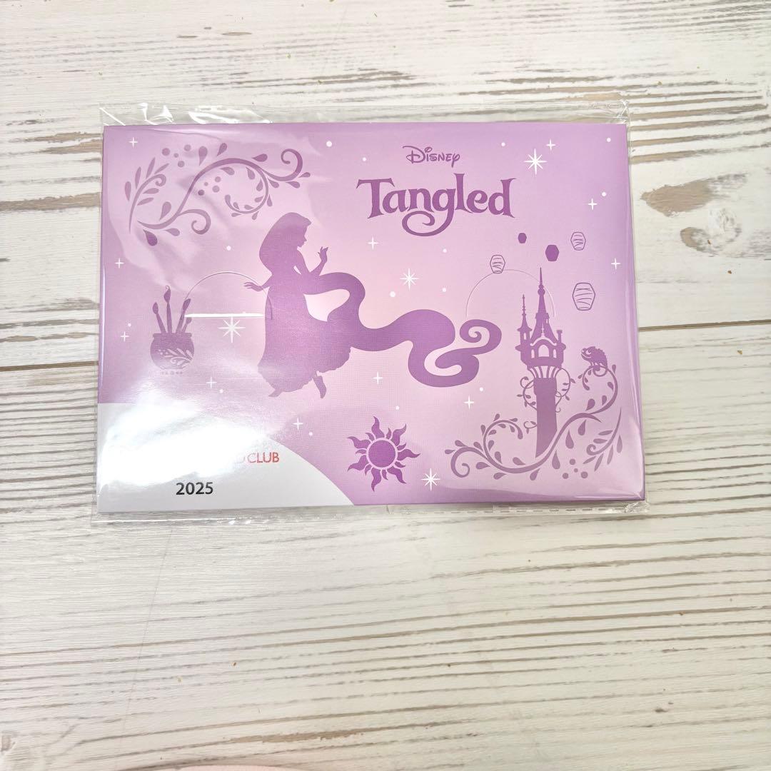 非売品】ディズニー☆JCBカード会員特典2025 ラプンツェル ピンバッジ