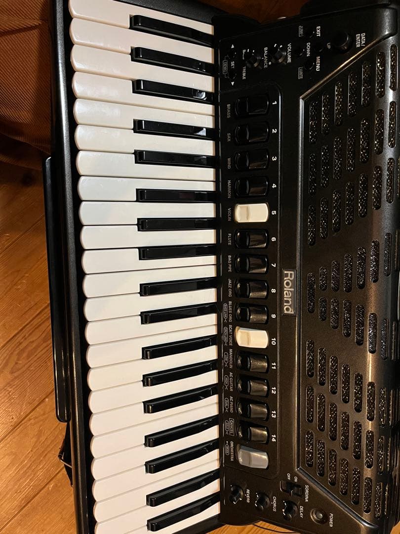 鍵盤楽器 Roland FR-5 V-Accordion