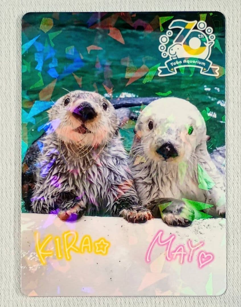 【匿名配送】鳥羽水族館　70周年記念　コレクションカード　レアカード　メイ　キラ