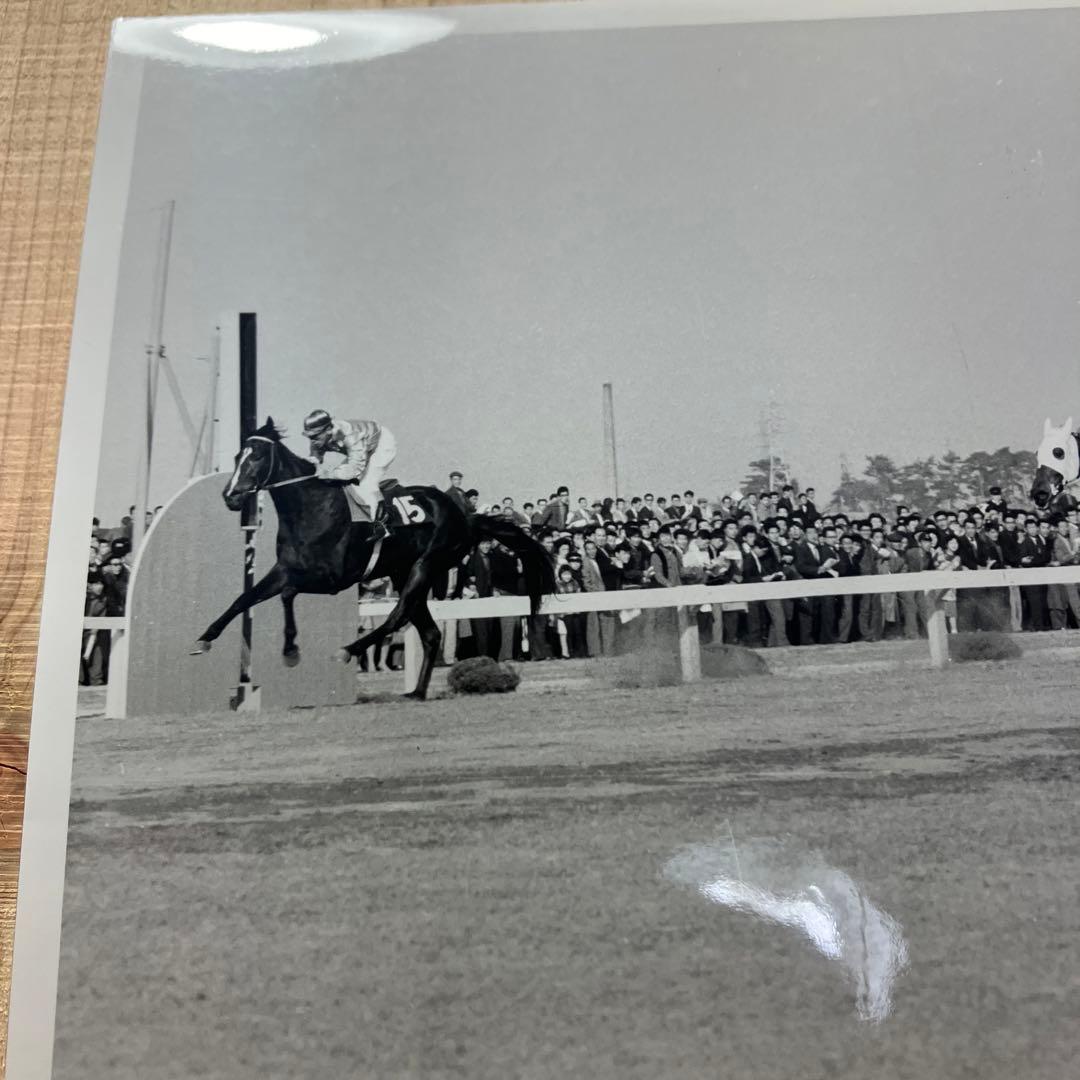 古い競馬写真、ケンホウ、昭和37年桜花賞 - メルカリ