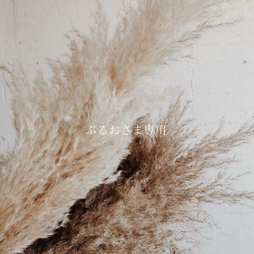 ぶるおさま専用