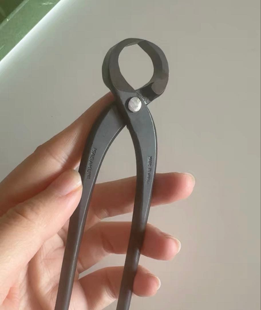 昌国 No.36 黒染コブ切 小 145mm盆栽道具 - メルカリ