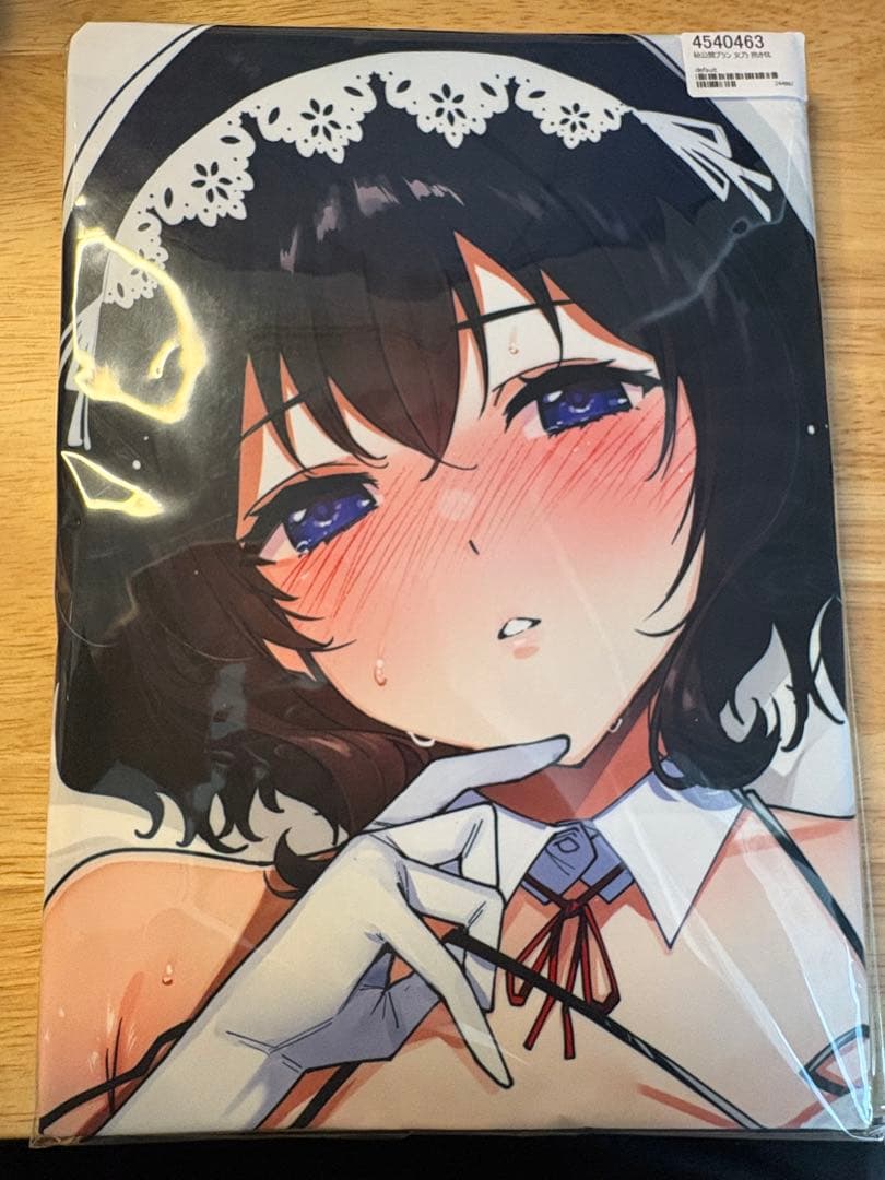 未開封正規品 秘公開プラン 文乃 抱き枕 智弘カイ