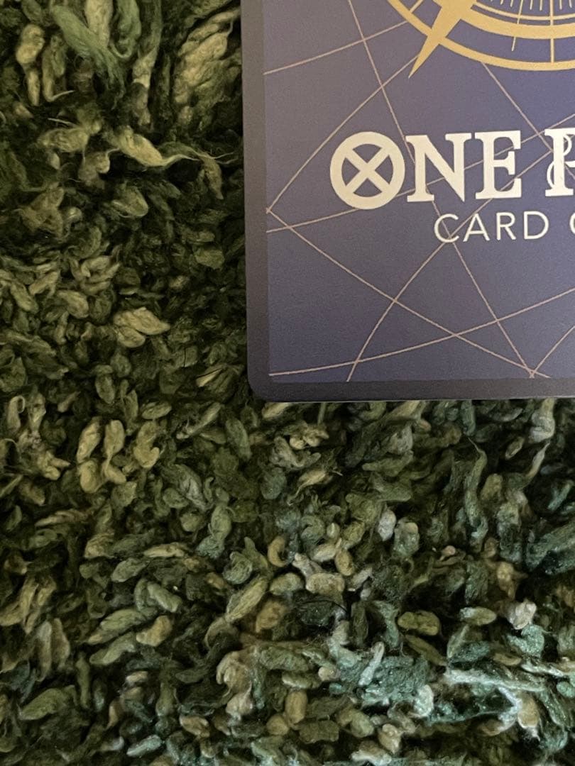 ロビン SP SRパラレル　ヒロインズエディション