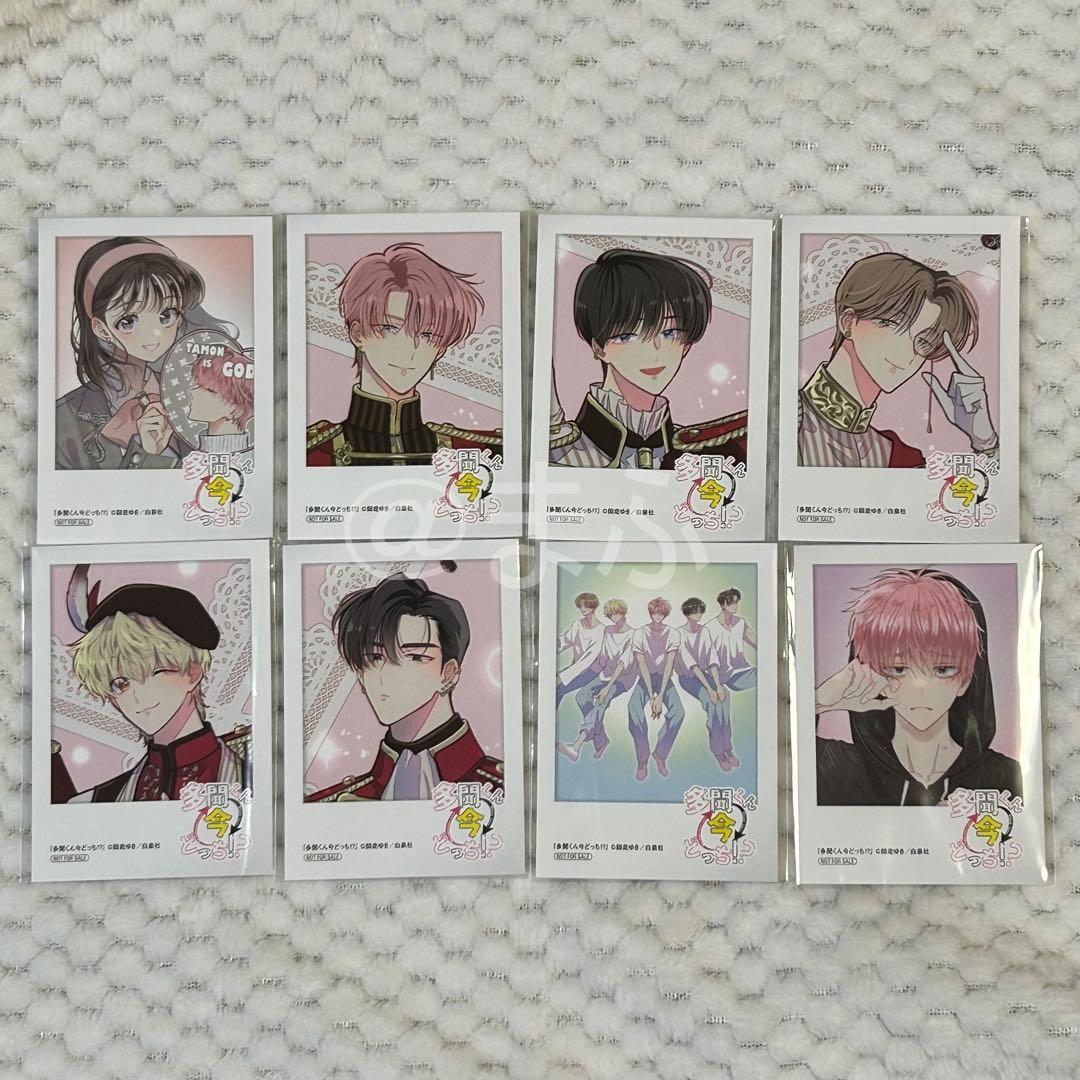 特典のみ☆多聞くん今どっち!? ミニフォトカード 全8種 アニメイト
