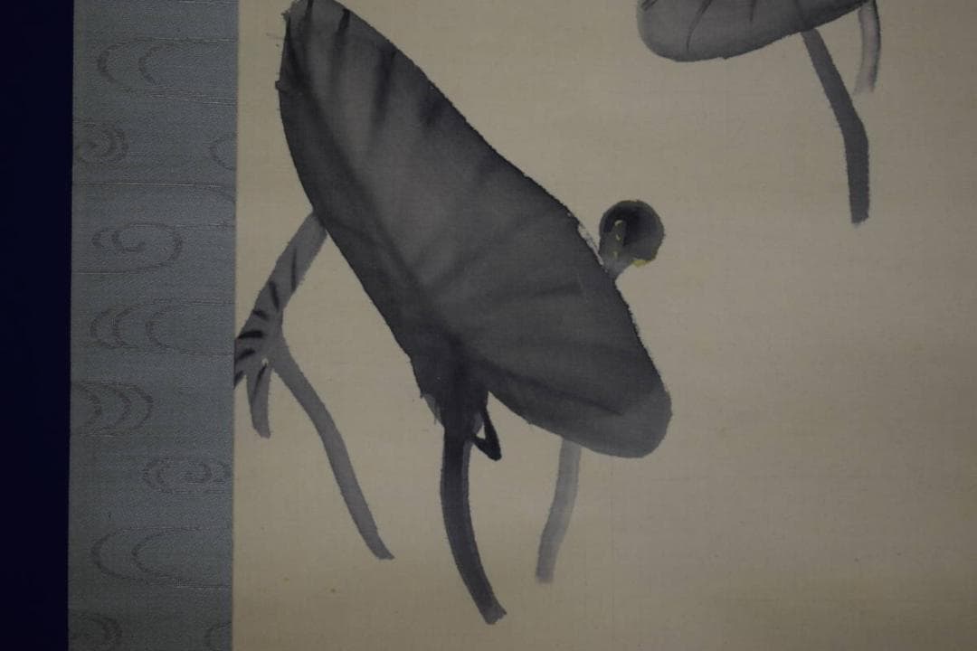 真作/庭山耕園/河骨図/コウホネ図/桐題箱付/布袋屋掛軸HI-266 - メルカリ