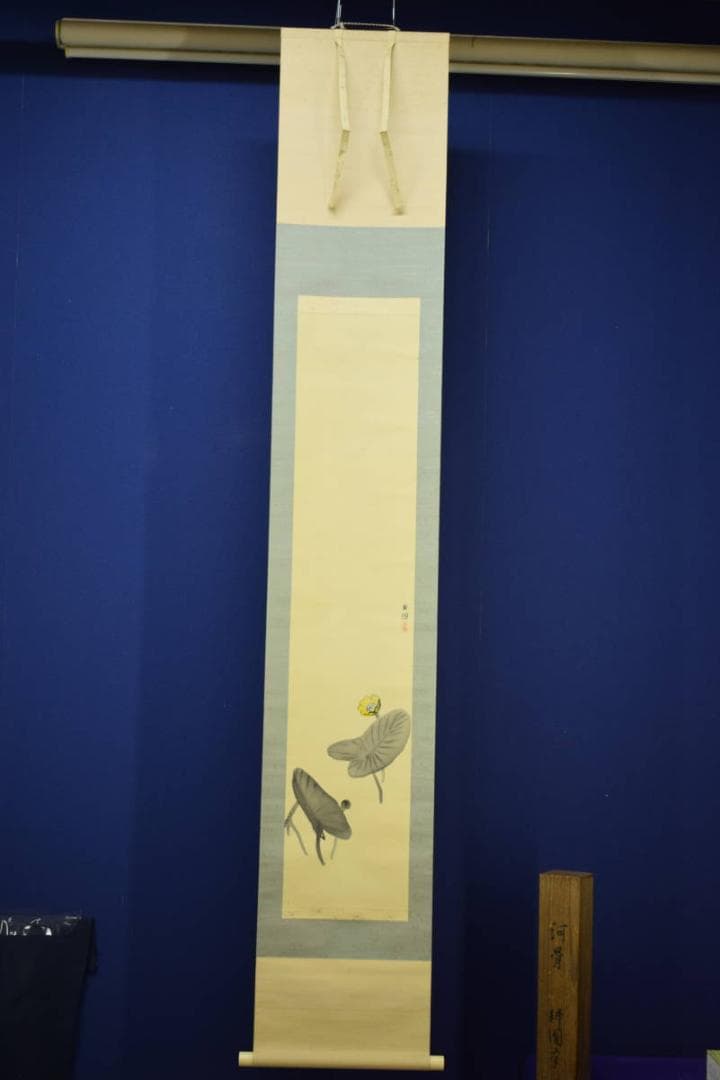 真作/庭山耕園/河骨図/コウホネ図/桐題箱付/布袋屋掛軸HI-266 - メルカリ