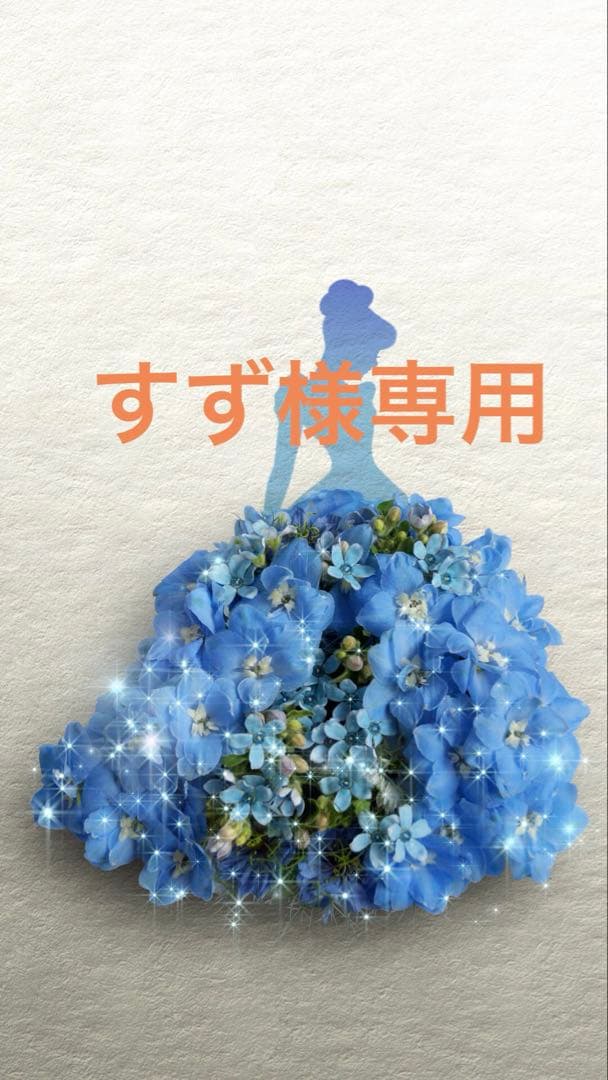 VΔLZ 甲斐田晴 ラウンドワン - メルカリ