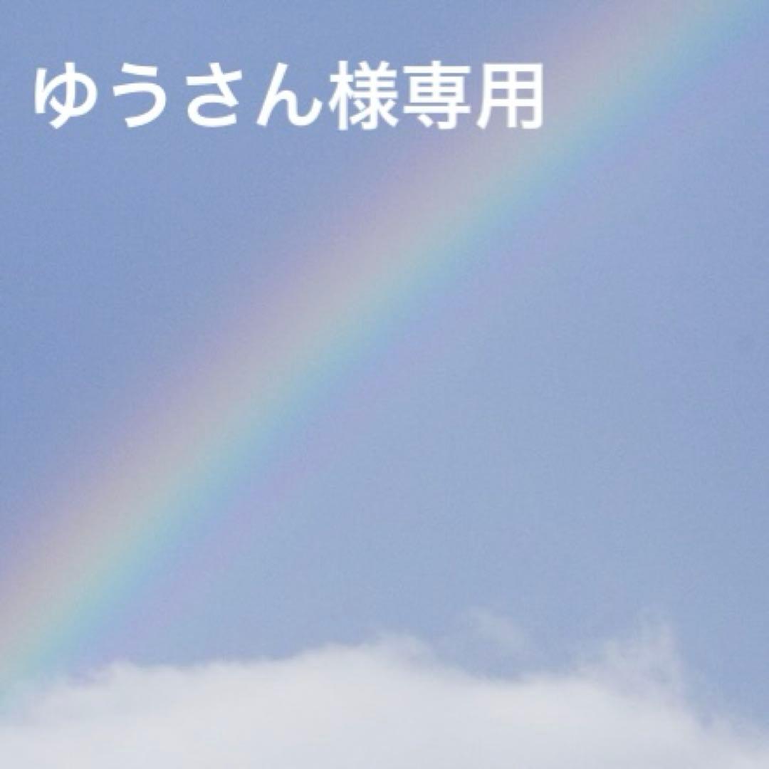 ゆうさん専用