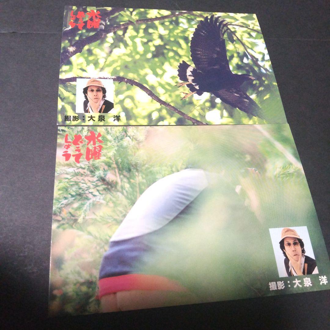 大泉洋 水曜どうでしょう コスタリカポストカード - メルカリ