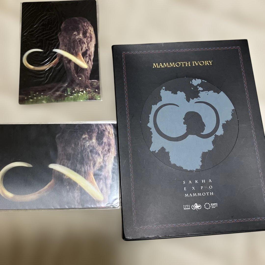 マンモスの骨　愛・地球博　ポストカード マンモスの骨 永久凍土から 愛・地球博 2005年 愛知万博 コレクション