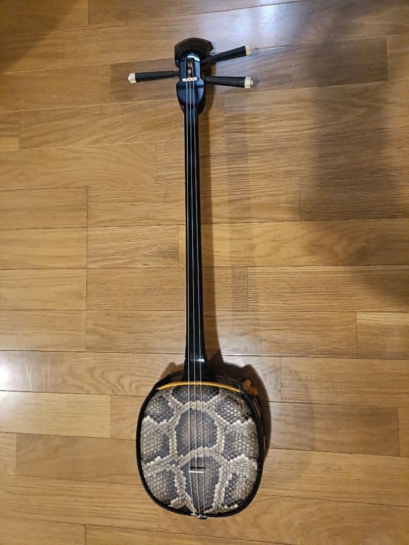 三線 本体 蛇皮 ケース付き　おまけ有り
