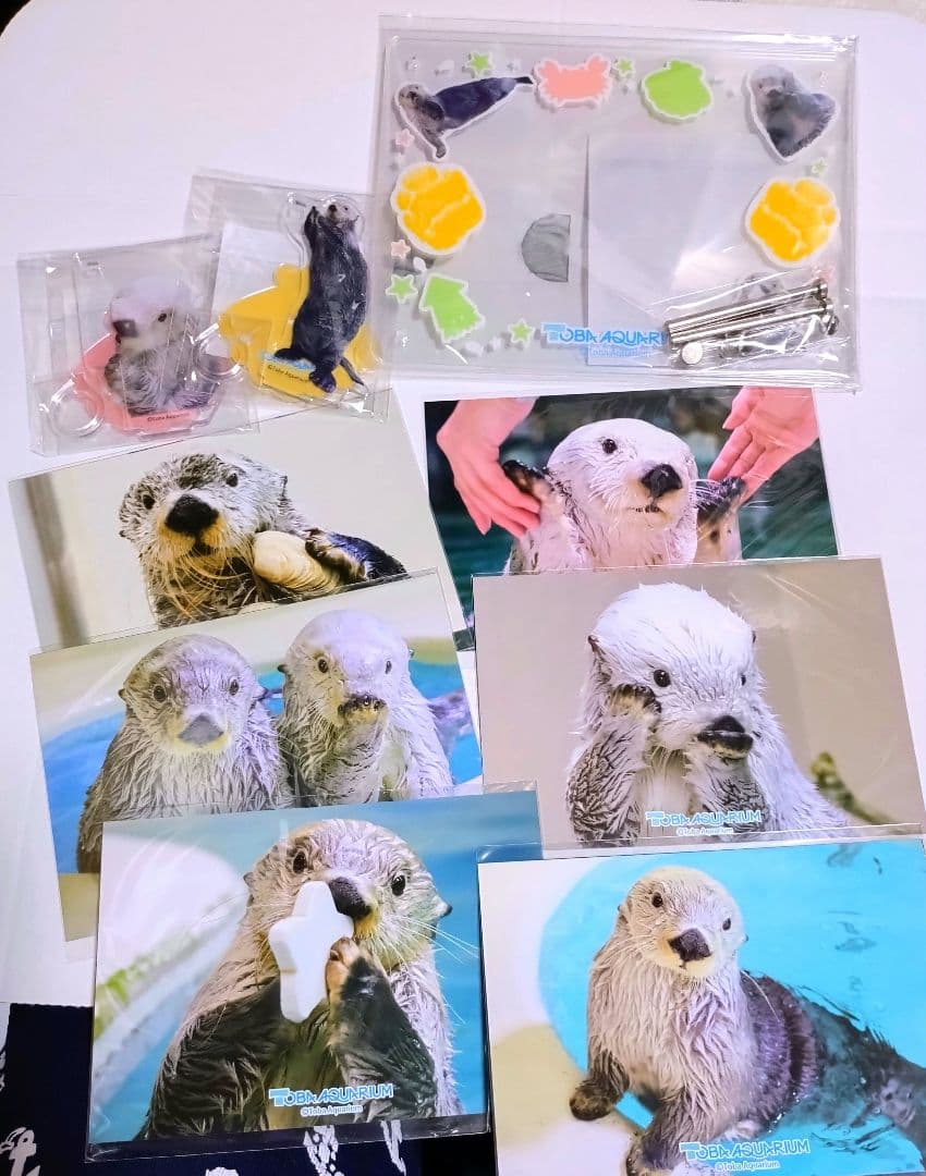 カプくじ ラッコのメイちゃんくじリターンズ9セット B賞D賞E賞 鳥羽