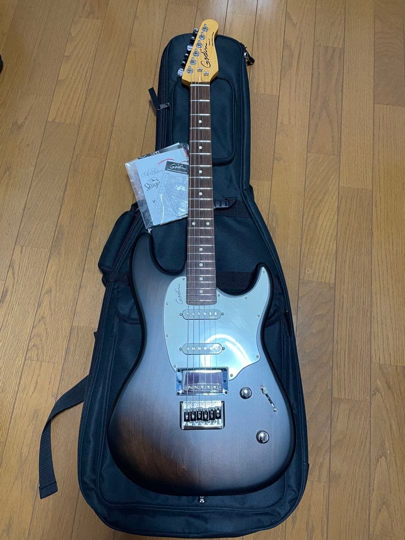 美品　ゴダン　Godin Session HT ストラト