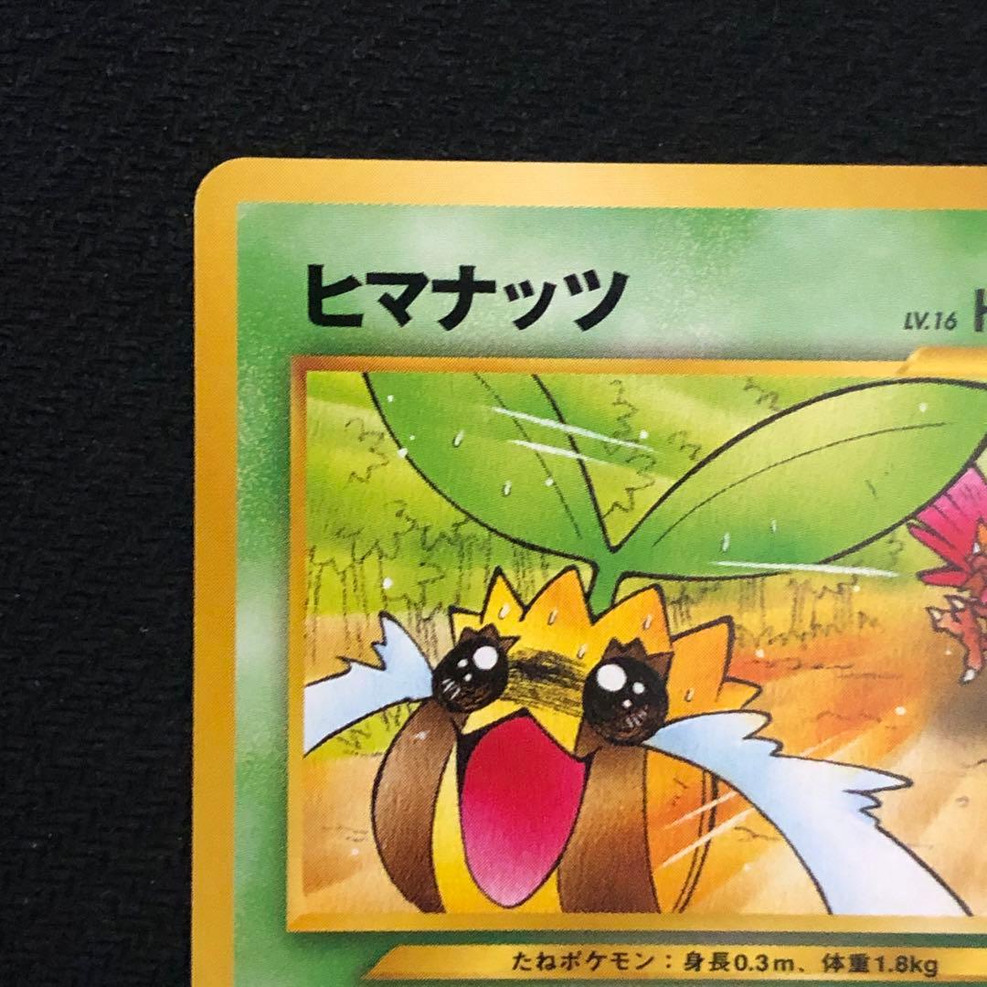 ヒマナッツ Lv.16 ポケモンカードになったワケ プロモ 旧裏 8119