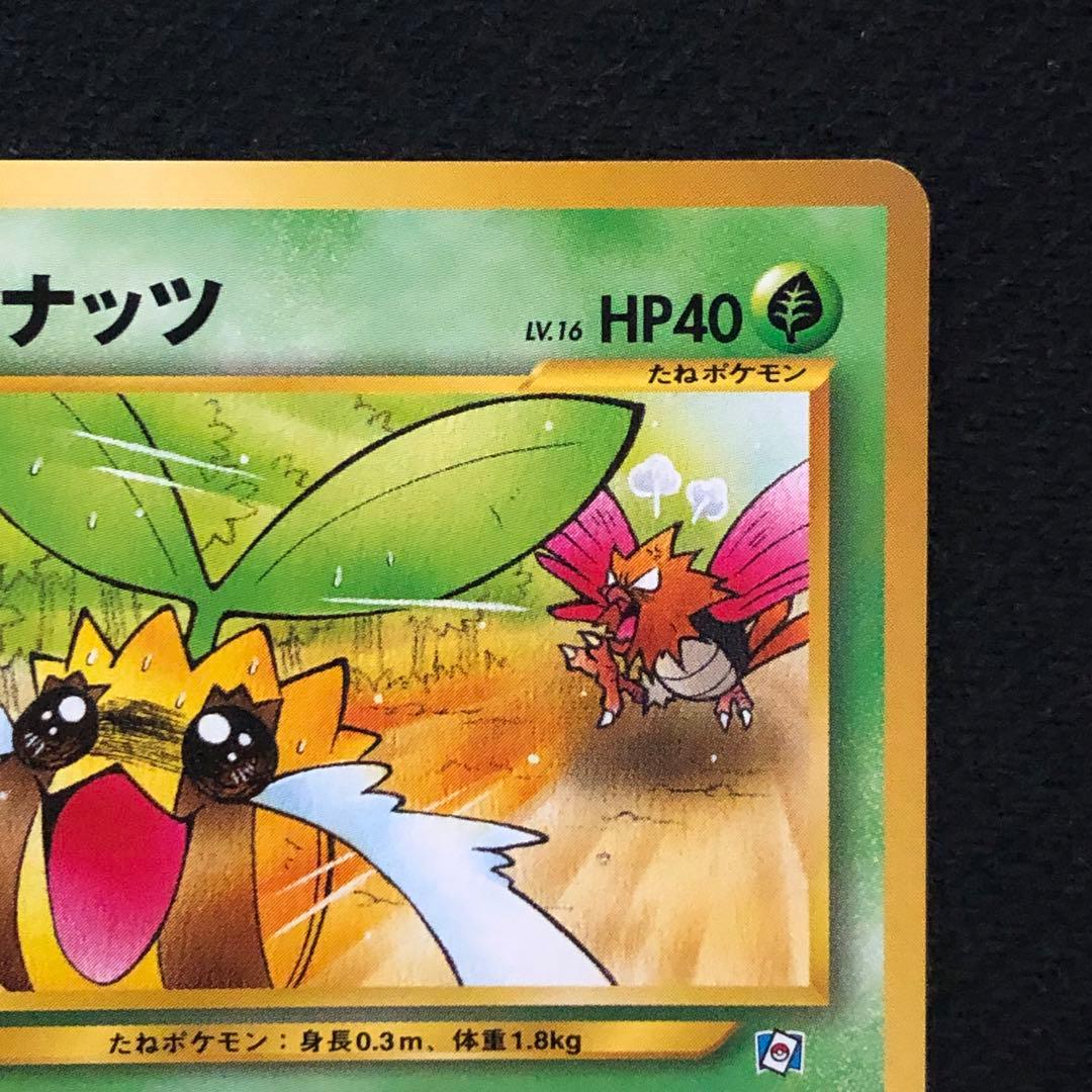 ヒマナッツ Lv.16 ポケモンカードになったワケ プロモ 旧裏 8119