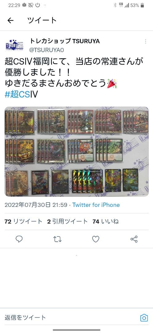 超CS優勝構築 ボルシャックデッキ ボルシャックデッキ〜赤緑白〜｜法相