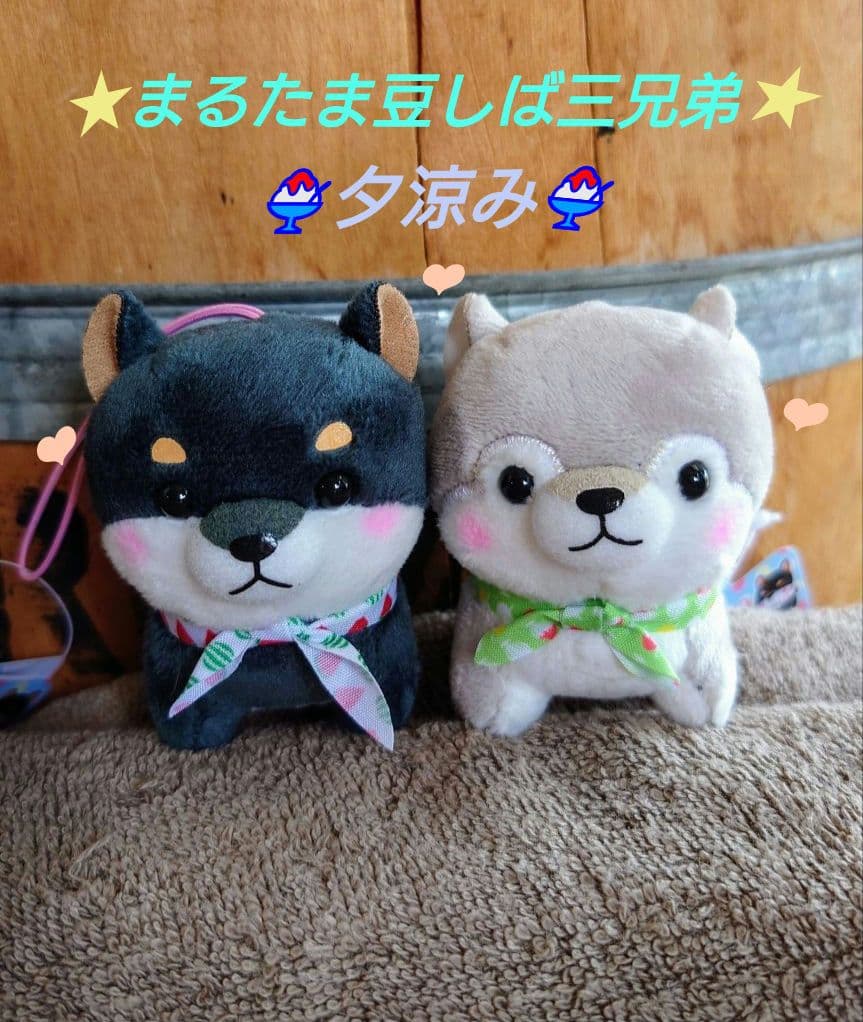 まるたま豆しば三兄弟【新作・新キャラ含】VMCセット ≪7月の新商品≫まるたま豆しば三兄弟2☆アミューズプライズ-NEW ITEM