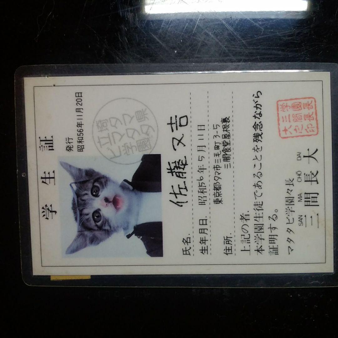 なめ猫カード 価格交渉受付中 楽天市場】100円 なめんなよカードコレクション [1箱 20袋入]【カード