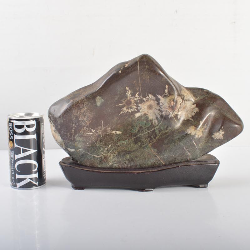 天然石　鑑賞石　菊花石　置物　重さ約1kg　唐木台付　V　R6665