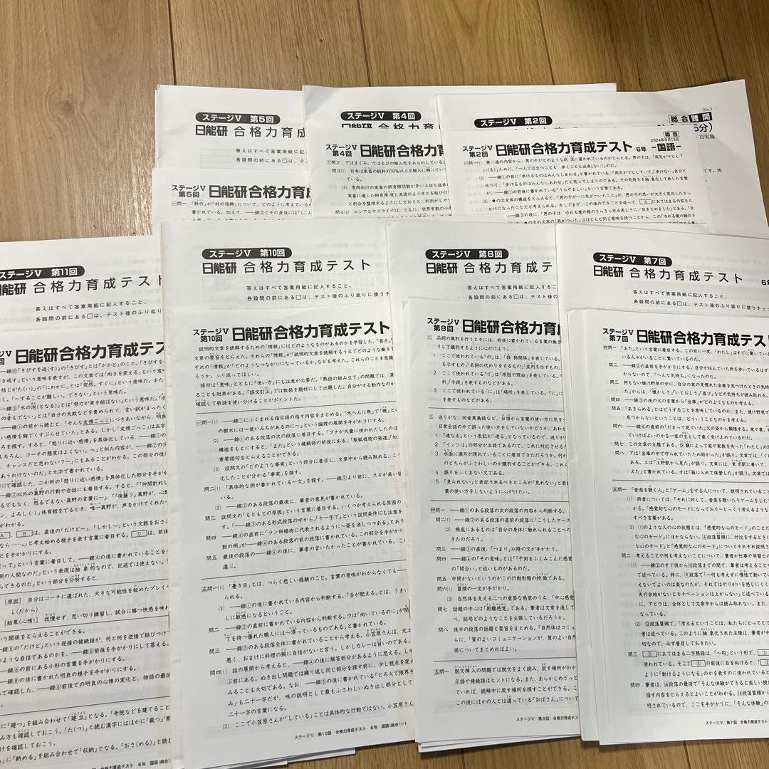 日能研合格力育成テスト　合格力実践テスト　6年生　12回分