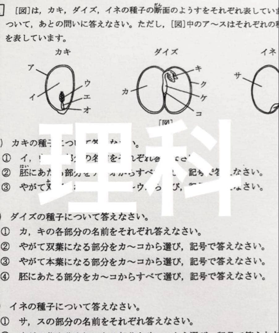 浜学園 小5 2024年度 復習テスト Sクラス 3教科 実力、No.1〜