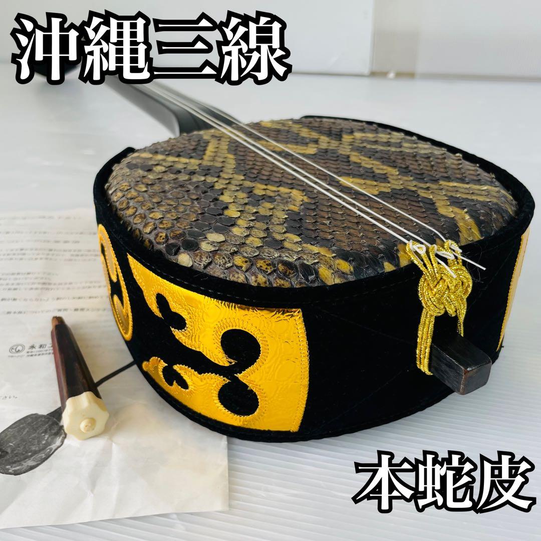 沖縄三線 本蛇皮 黒金装飾 琉球 民族楽器 本皮