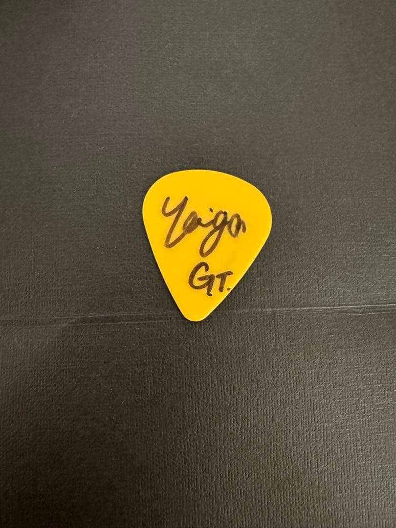 シンガーズハイ　ほりたいが　サイン入りギターピック